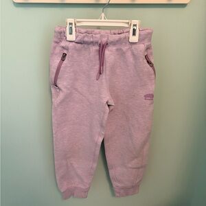 Roots Purple Sweatpants